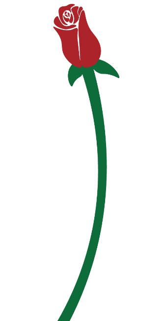 rose